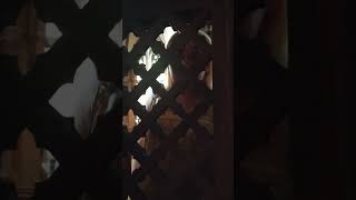 Отпущение греха в церкви Святого Петра в городе Heppenheim, Deutschland