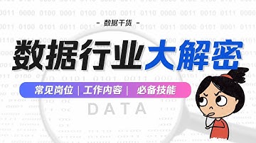 一口气了解整个数据行业（2024版）｜DA/DE/DS/MLE 都是干嘛的？