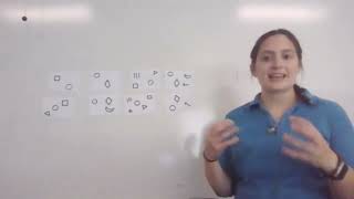 Lab 1- Clade Race