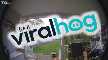 Mean Post Office Delivery || ViralHog