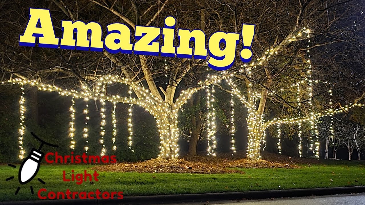 Christmas Light Installation Services in Citrus Heights CA