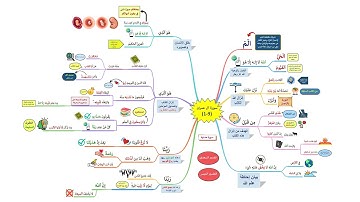 خريطة ذهنية لسورة آل عمران الوجه(1)