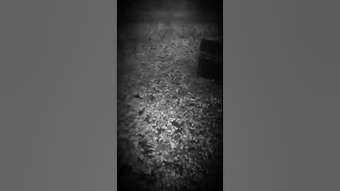 ايات من سورة /الحج/وَأَذِّن فِي النَّاسِ بِالحج / للقارء رعد الكردي
