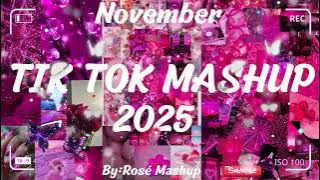 TIKTOK MASHUP NOVEMBER 💓2025💓 (NOT CLEAN)