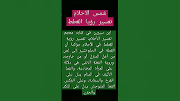 تفسير حلم القطط تفسير الاحلام شمس الاحلام القطط الصغيرة قطط 