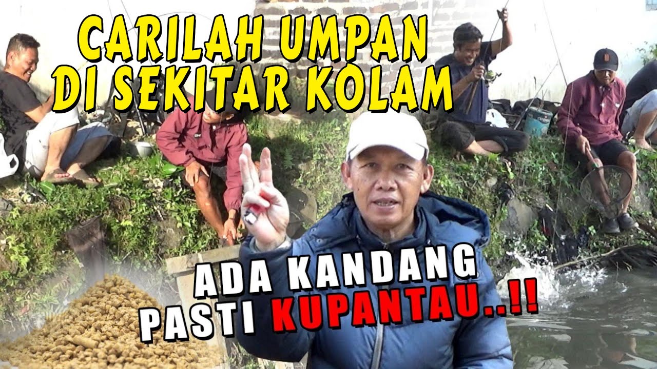 umpan-mancing-terlarang-penghancur-esen-borong-2-kolam-5-jam-650