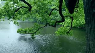 The beautiful little lake is raining(169) , sleep, relax, meditate, study, work, ASMR