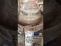 Biomass Pellet Machine – Turn Waste Wood Into Profitable Fuel