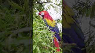 Kommt mit in das Herz Mittelamerikas! Mit Hannes Jaenicke in Costa Rica!