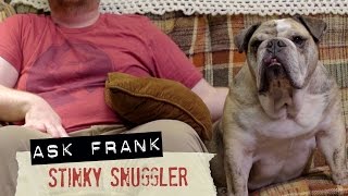 Stinky Snuggler - #002 Ask Frank: Advice for Dogs. By a Dog.