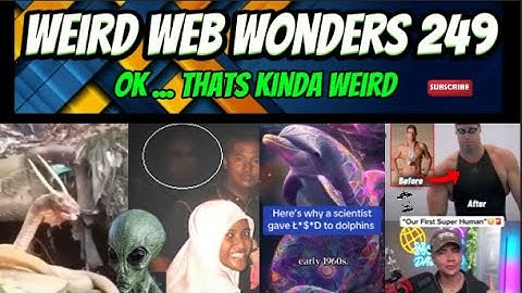 weird web wonders 249