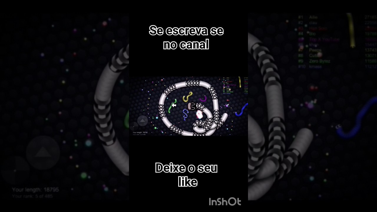 slither.io skin CARTOON CAT