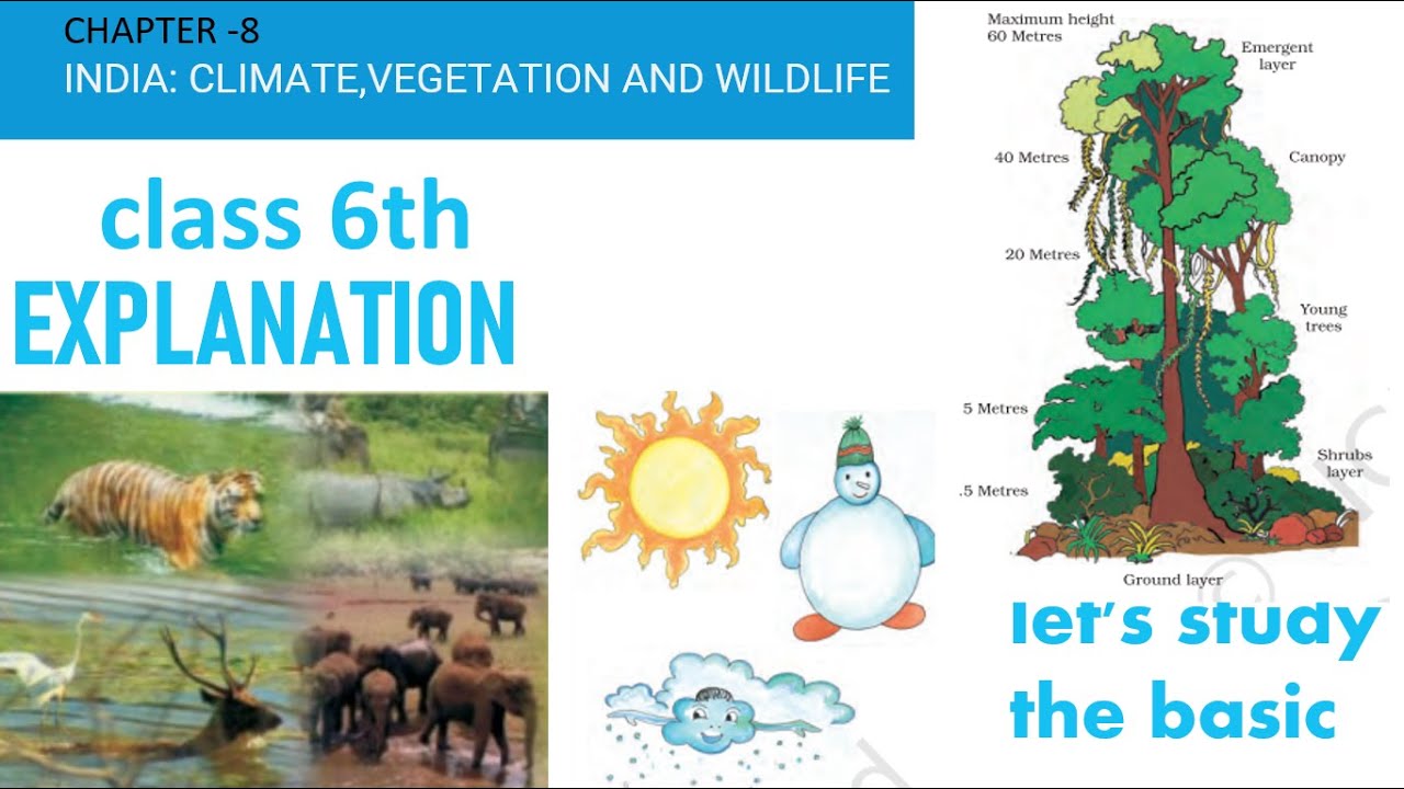 NCERT CLASS 6TH GEOGRAPHY CH INDIA CLIMATE VEGETATION AND Ncert class 6th geography ch india climate vegetation and