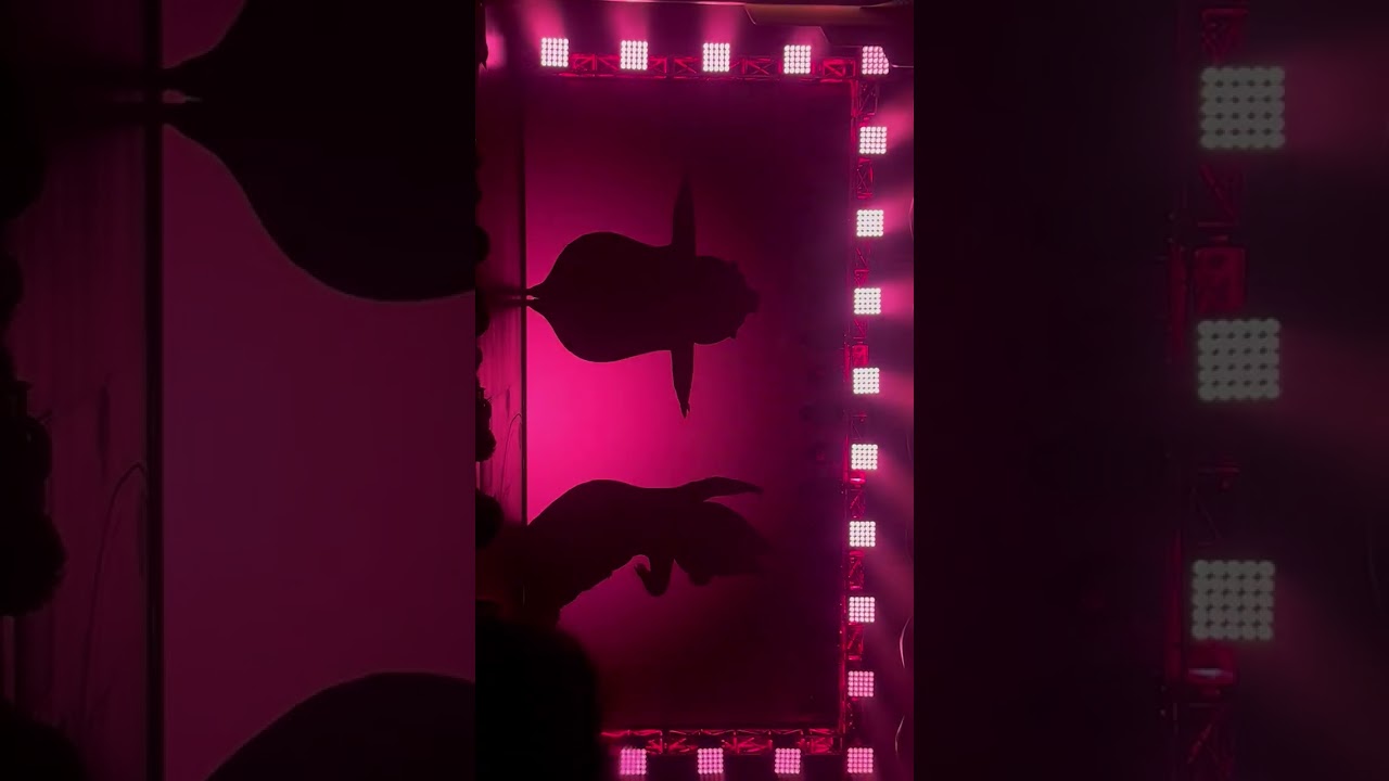 北京 (sing)part1 回忆