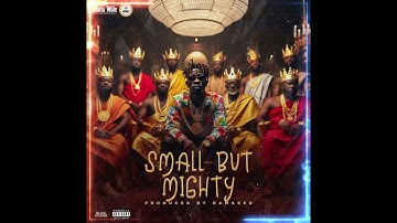 Shatta Wale - Small But Mighty (Audio Slide)