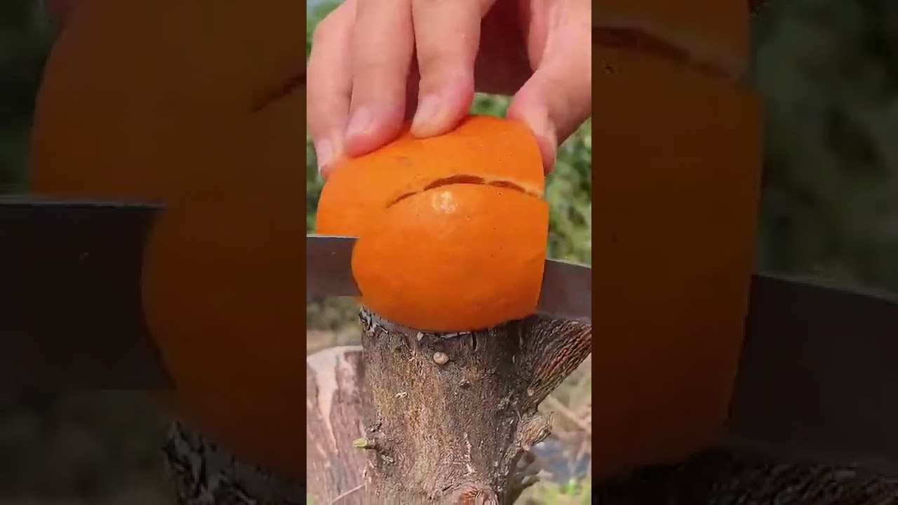 OMG 😍  NATURE FRIUT 😍