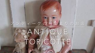 France Antique Celluloid Doll【Antique toricoTte】02/18 20