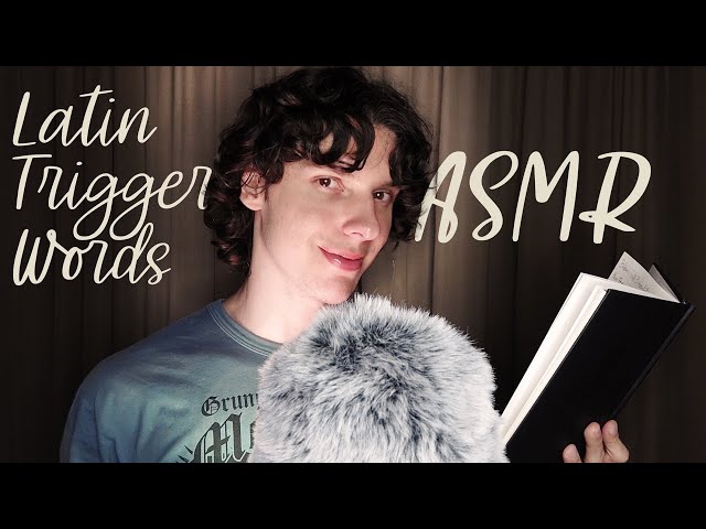 ASMR relax with baldur's gate 3 spell incantations (latin trigger words)