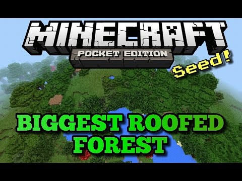 0 10 2 Minecraft Pocket Edition Biggest Roofed Forest Seed Youtube
