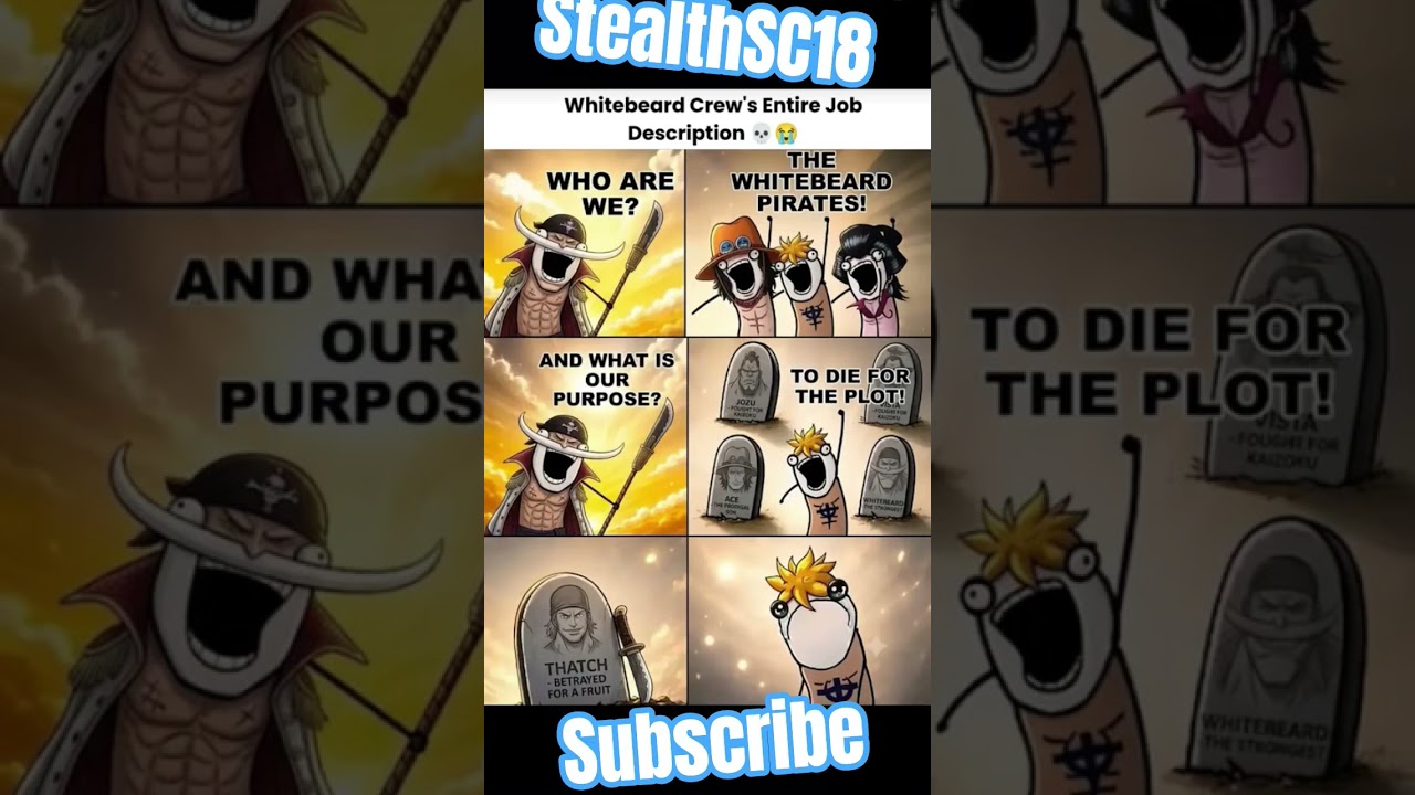 THAT'S THE PLOT FOR ONE PIECE IN MEME 111#onepiece #onepiecememes