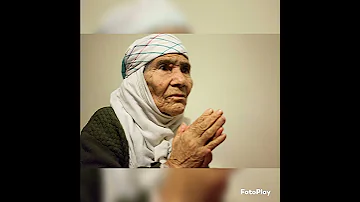 امي ثم امي 