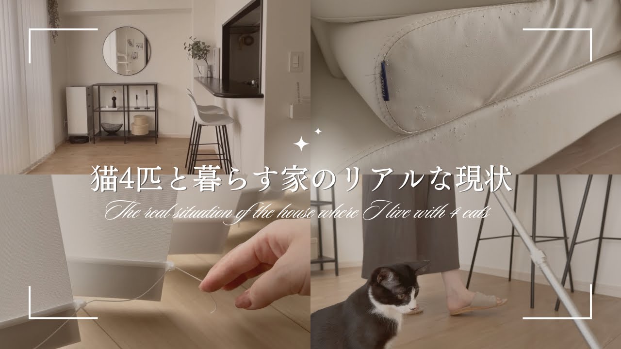 猫を迎える前に見て！猫4匹と暮らすマンションのリアルな現状｜猫ファーストな家/家具の選び方/いたずら対策