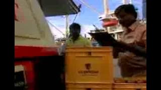 Download lagu Guinness Stout Evergreen Advertisement.flv