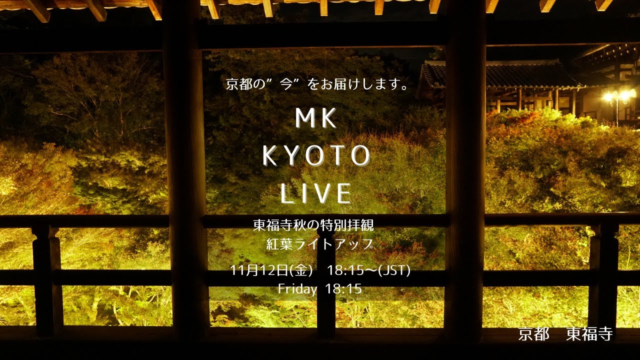 Kyoto Japan 京都 東福寺 秋の特別拝観 紅葉のライトアップ Mk Kyoto Live Youtube Kyoto Japan 京都 東福寺 秋の特別拝観 紅葉のライトアップ Mk Kyoto Live Youtube