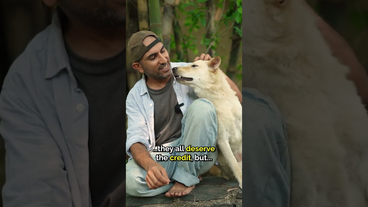 Animal live export bill withdrawn 