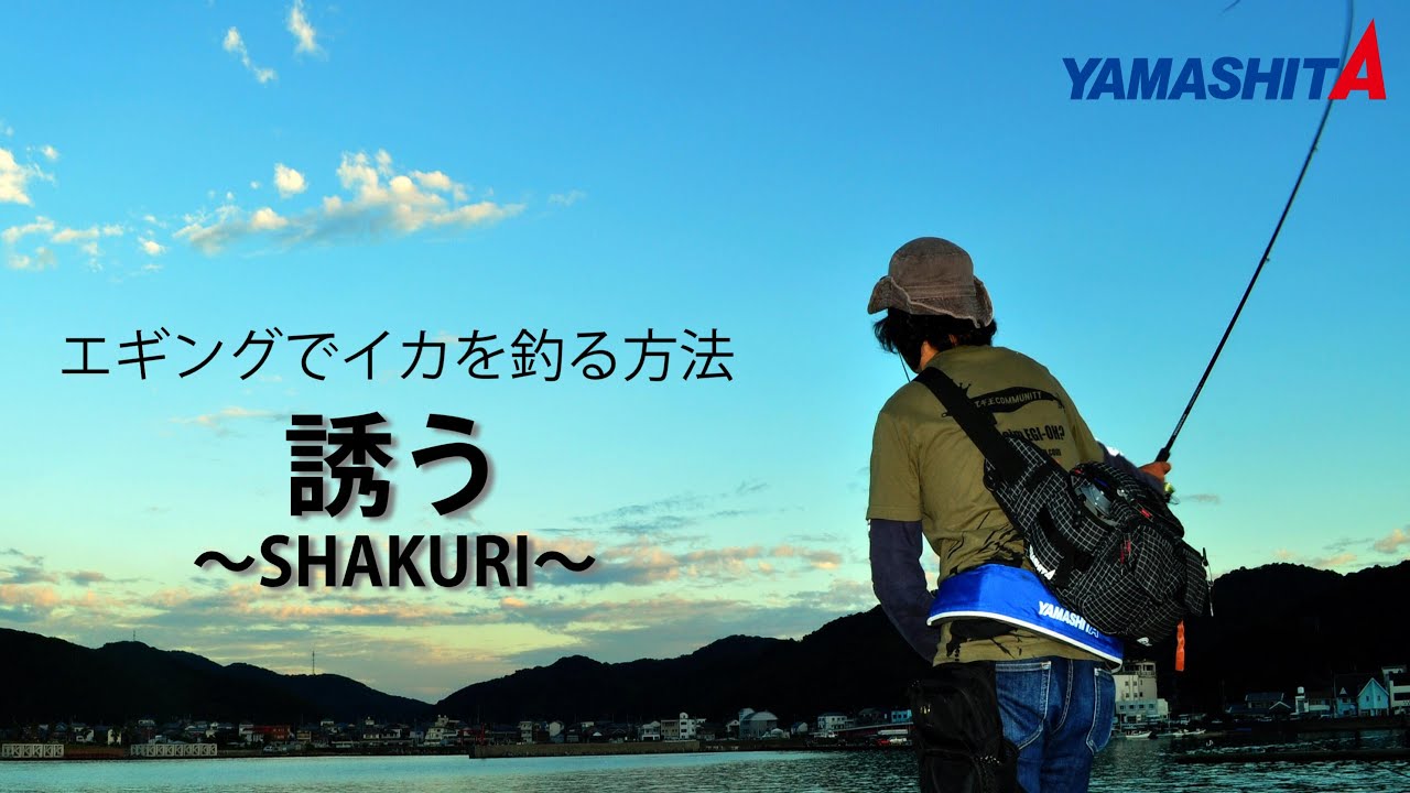 エギング入門 堤防からのイカ釣り 釣り百科 あらゆる釣りの知識が集約