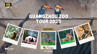 Full Tour at China's Best Value Zoo - GUANGZHOU ZOO! | Famous Pandas, Lions & All Animals 4kHDR
