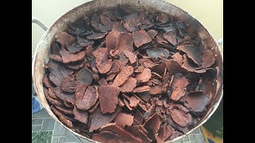 Trị tóc bạc sớm với HÀ THỦ Ô ĐỎ --Cộng dụng tuyệt vời của hà thủ ô đỏ trong điều trị tóc bạc