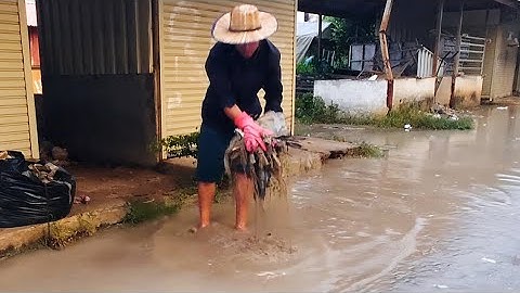 Cleaning Trash by the Rain water flow to Unclogged  drain #cleaning #satisfying