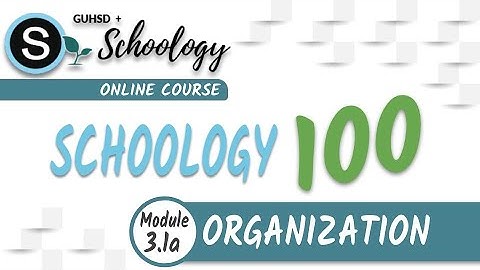 SGY 100: Module 3a (Lesson 1) - Organization