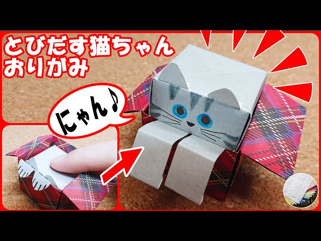飛び出す猫ちゃん