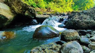 Beautiful Mountain River Flowing Sound. Forest River, Relaxing Nature Sounds/ Sleep/ Relax 10 hours.