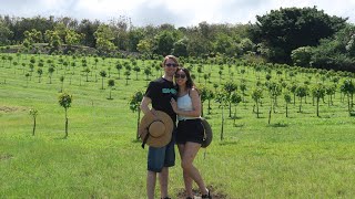 Honeymoon in Hawaii - Part 1 by Coral Aubrey 108 views 11 months ago 19 minutes