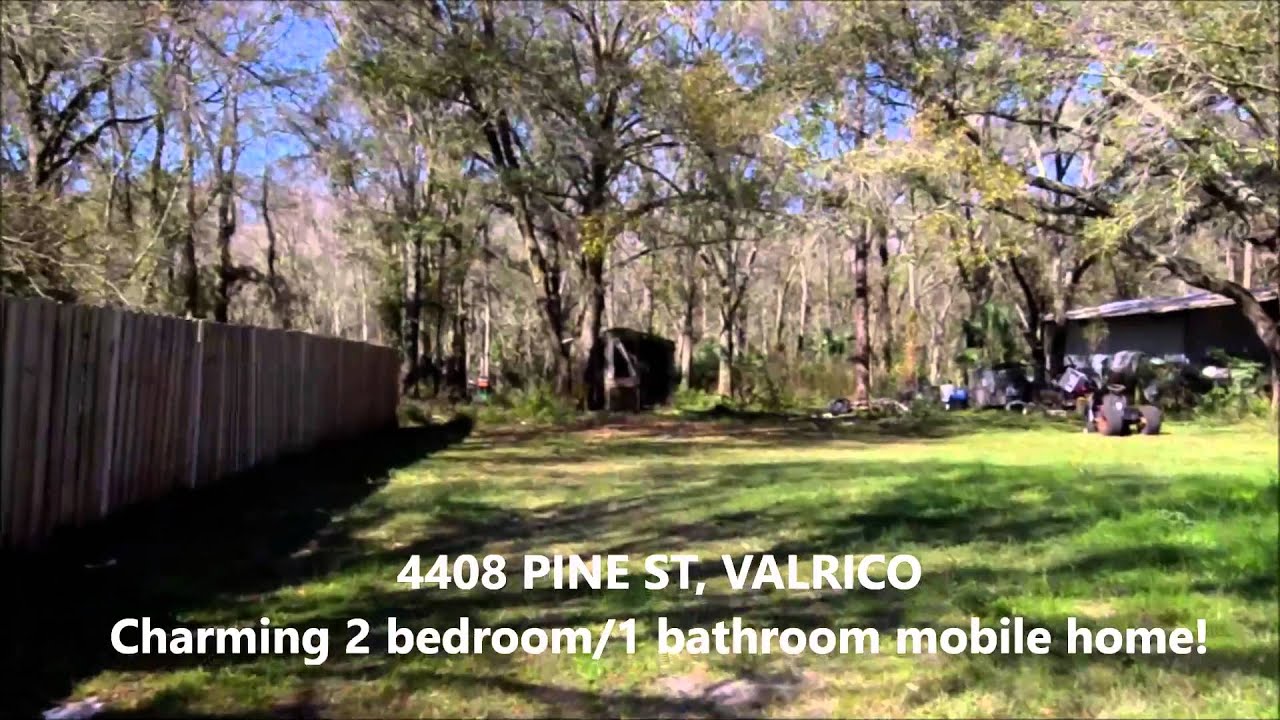 4408 Pine St, Valrico Video tour by the Top Realtor #1 Real Estate Agent Remax Duncan Duo