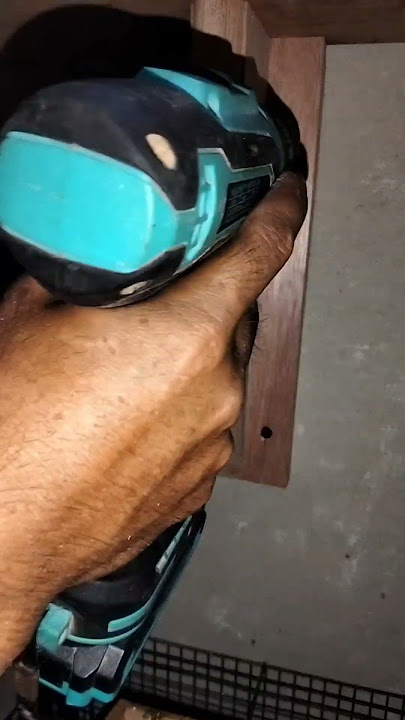 Download lagu simple bird feeder #woodworking #skilltukangkayu #triktukangkayu