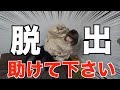 これが本当の"リアル脱出ゲーム