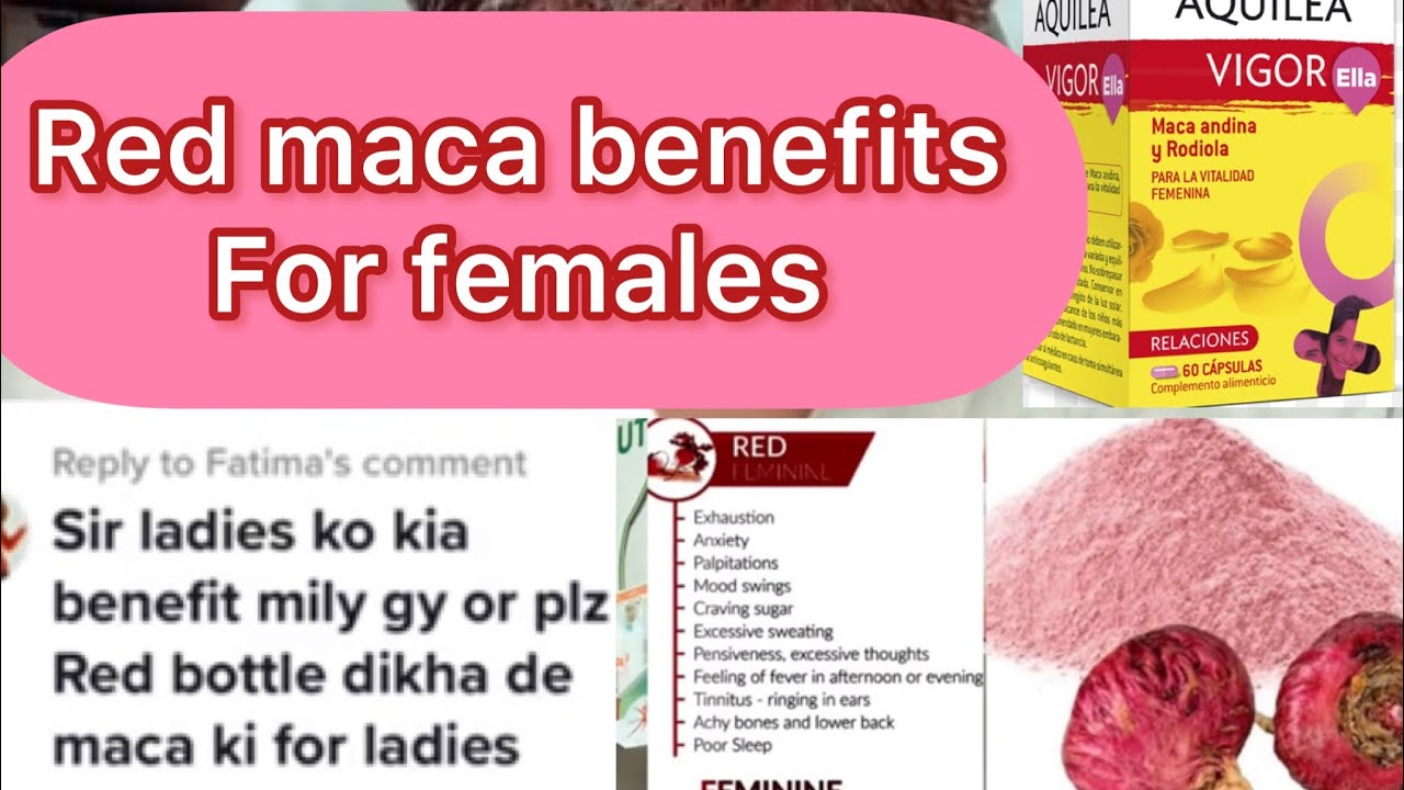 Red maca benefits for females ,Urdu/ Hindi YouTube