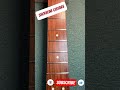Fender 5 String Frets