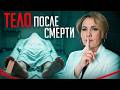 Вы БОЯЛИСЬ об ЭТОМ спросить! / Как умирает тело с точки зрения науки?