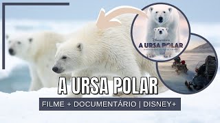 Um urso polar está em uma cena do filme urso polar.