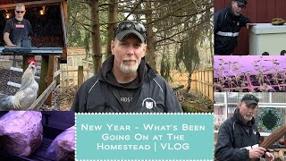 New Year - What's Been Going On at The Homestead | VLOG