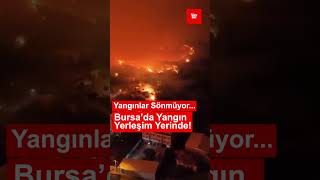 Bursa / Türkiye’de Yangınlar Sürüyor