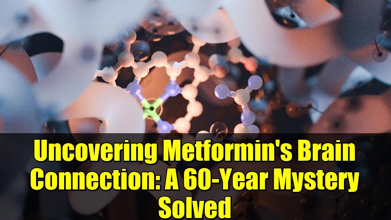 Uncovering Metformin's Brain Connection: A 60-Year Mystery Solved