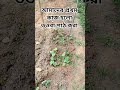 #ইসলামিক_শর্ট_ভিডিও #new #islamicknowledg #youtube #nature #waj #shortvideo #bangladesh #shorts