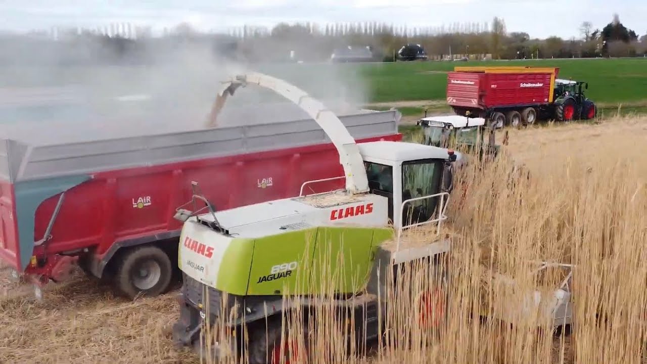 🇫🇷Ensilage de miscanthus XL - 6x Fendt🤩- 3x Lair - ETA Briand Delamarre