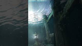 3 Seconds to Sleep. 🌊 Cosmic Abyss (963Hz) #ZenToneJapan #963Hz #Shorts #睡眠用BGM